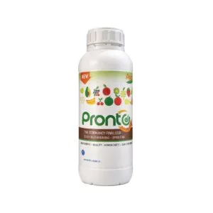 Prontoplus