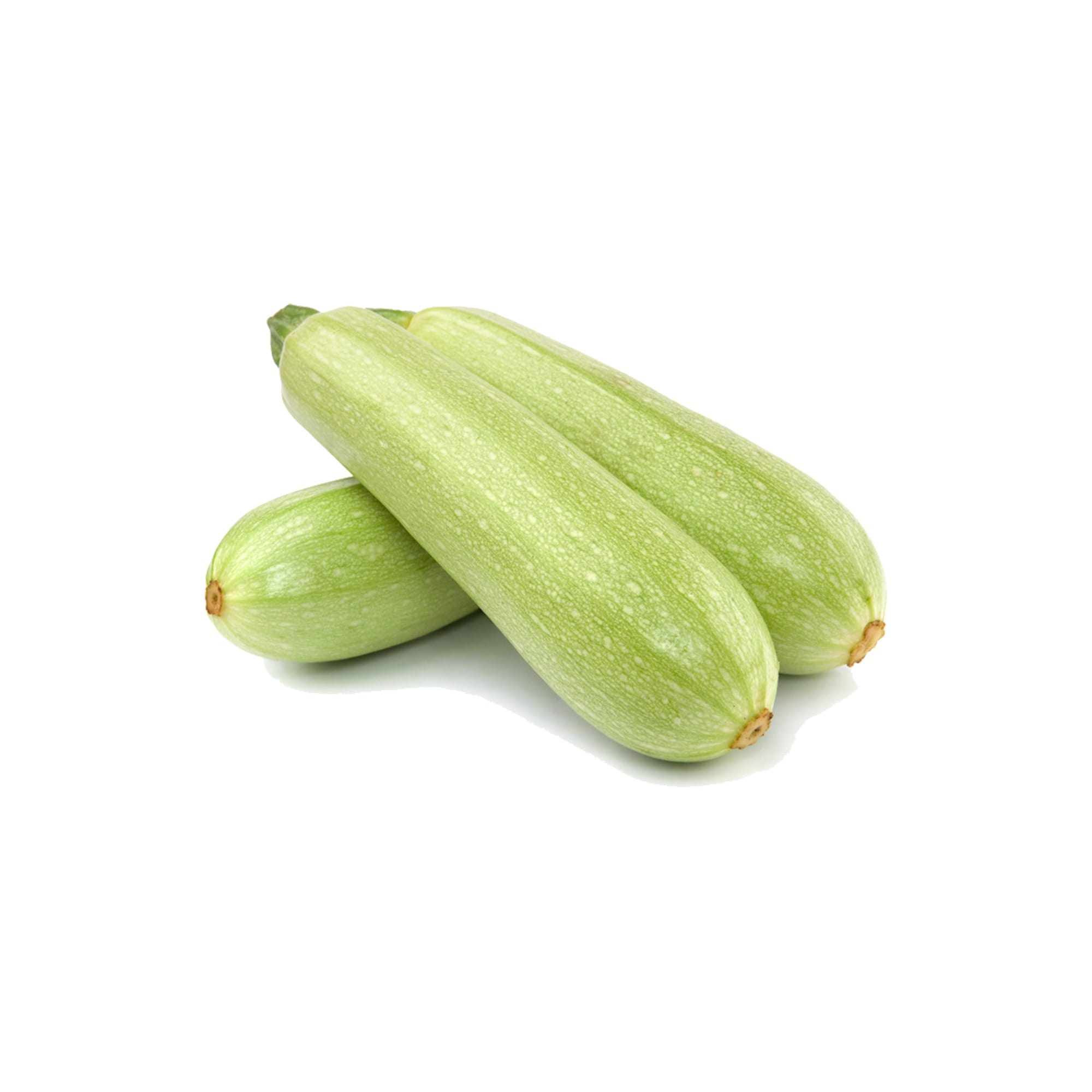 كوسة بهيجة F1