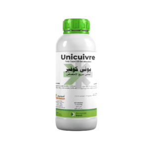 UNICUIVR